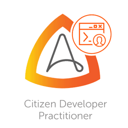 Citizen Developer Practitioner